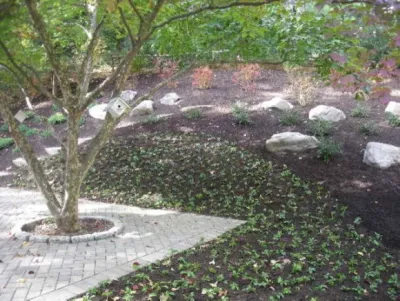 Poundridge Nurseries Inc - Landscape Construction in Pound Ridge, NY
