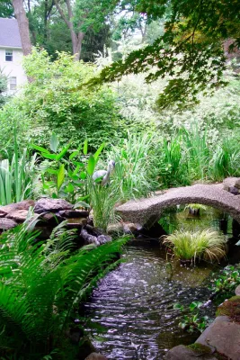 Woody Landscape by Artisan Landscapes And Pools
