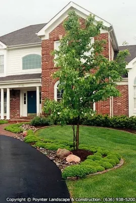 Chesterfield MO- Landscaped Front Walkway & Back Patio Terrace by Poynter Landscape Architecture & Construction