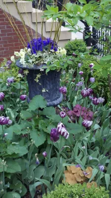 Pradel Garden Designs - Landscape Construction in Chicago, IL