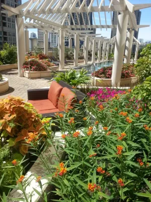 Pradel Garden Designs - Landscape Construction in Chicago, IL