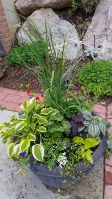 Planter Boxes by Premier Landscapes