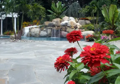 The Tropics in The Suburbs by Artisan Landscapes And Pools