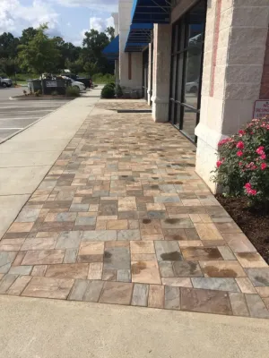 Gather Coffee Shop — Landscape Design project by Premiere Landscape Design in Chesapeake