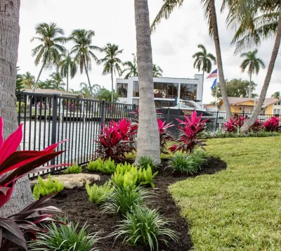Pristine Landscapes - Garden Remodeling in Parkland, FL