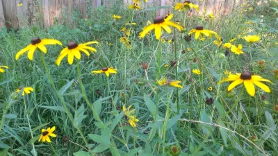 Prospect Design Company, LLC - Garden Remodeling in Atlanta, GA