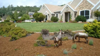 Pure Edge Landscaping - Landscape Design in Placerville, CA