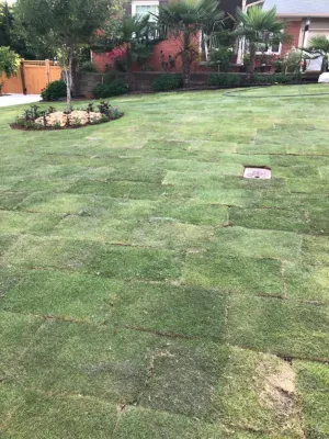 Architect Design Landscape - Garden Remodeling in Smyrna, GA