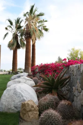 Randy Purnel Landscape Architect - Landscape Design in Palm Desert, CA