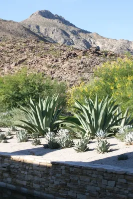 Randy Purnel Landscape Architect - Landscape Design in Palm Desert, CA
