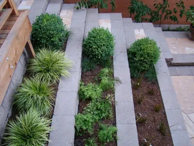 Noe Valley by Randy Thueme Design Inc. - Landscape Architecture