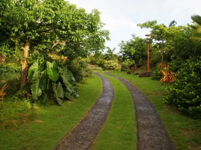 Raymond Jungles, Inc. - Garden Remodeling in Miami, FL