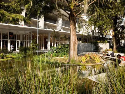Raymond Jungles, Inc. - Garden Remodeling in Miami, FL