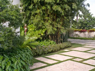 Raymond Jungles, Inc. - Garden Remodeling in Miami, FL
