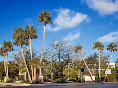 Raymond Jungles, Inc. - Garden Remodeling in Miami, FL