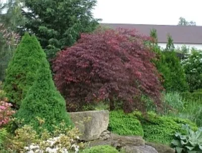Redtwig Garden Design, LLC - Landscape Design in Windham, CT