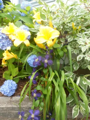 Redtwig Garden Design, LLC - Landscape Design in Windham, CT