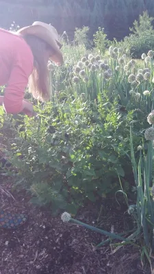 Regenerative Design Group - Landscape Design in Greenfield, MA