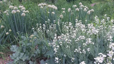 Regenerative Design Group - Landscape Design in Greenfield, MA