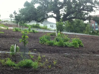 Regenerative Design Group - Landscape Design in Greenfield, MA