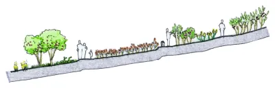 Regenerative Design Group - Landscape Design in Greenfield, MA