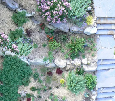 Regenerative Design Group - Landscape Design in Greenfield, MA