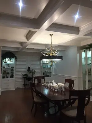 Dining Room Transformation - Design and Construction Project — Kitchen Remodeling project by Artisan Renovations