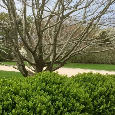Renee Byers, Landscape Architect, P.C. - Outdoor Lighting Installation in Greenwich, CT