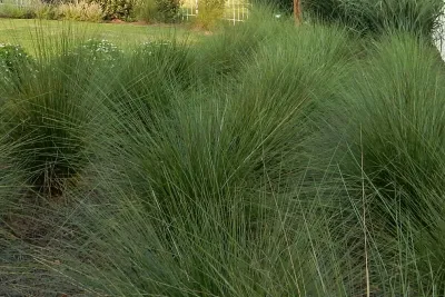 Revington Reaves Landscape Architecture & Planning - Garden Remodeling in Greensboro, NC