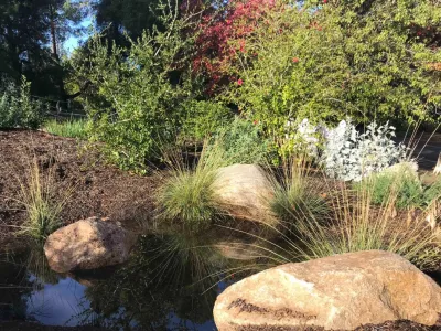 Revolution Landscape - Landscape Construction in Encinitas, CA