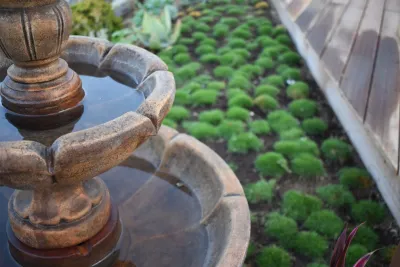 Revolution Landscape - Landscape Construction in Encinitas, CA