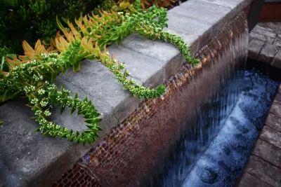 Revolution Landscape - Landscape Construction in Encinitas, CA