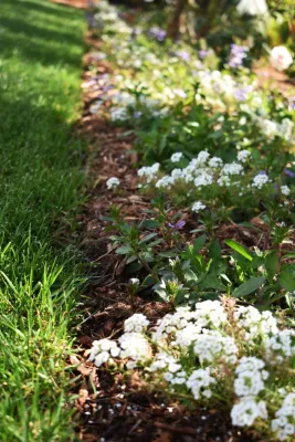 Revolution Landscape - Landscape Construction in Encinitas, CA