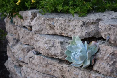 Revolution Landscape - Landscape Construction in Encinitas, CA