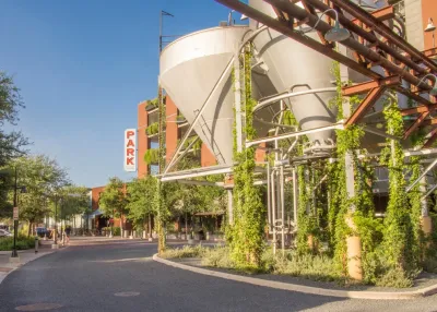 Rialto Studio INC - Tree Planting & Transplanting in San Antonio, TX