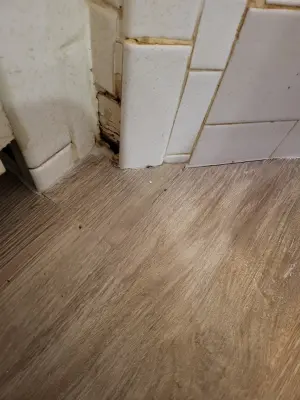 Rudy Rodriguez Painting Remodeling & Granite - Flooring Installation Services in Odessa, TX