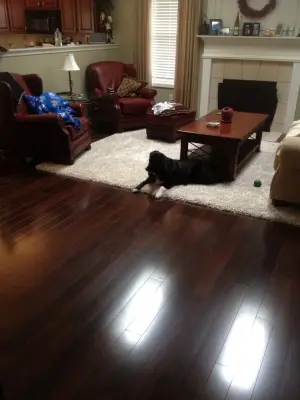 Mohawk Carpeting — Kitchen Remodeling project by Mulberry Builders LLC