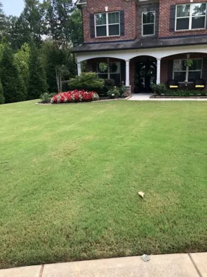 Architect Design Landscape - Garden Remodeling in Smyrna, GA