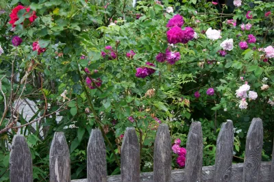 Kattman Ressidence by Richard Kattman Landscape Architecture