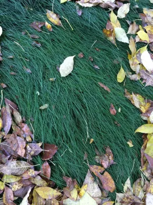 Ringers Landscape Services, Inc. - Garden Remodeling in Fox River Grove, IL