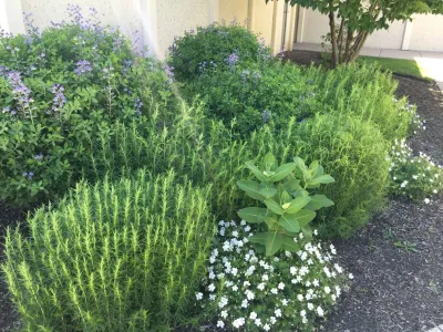 Ringers Landscape Services, Inc. - Garden Remodeling in Fox River Grove, IL