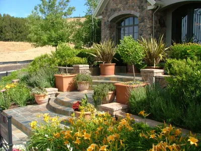 Vine Terrace — Landscape Design project by Ripley Design Group