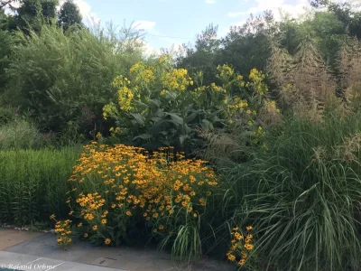Roland Oehme Landscape Architecture - Garden Remodeling in Towson, MD