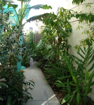 Roland Oehme Landscape Architecture - Garden Remodeling in Towson, MD