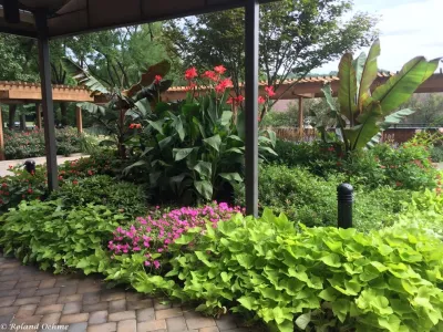 Roland Oehme Landscape Architecture - Garden Remodeling in Towson, MD