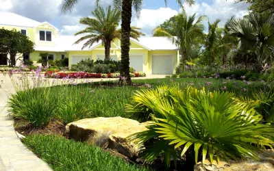 ArtisTree Landscape Maintenance & Design - Outdoor Lighting Installation in Venice, FL