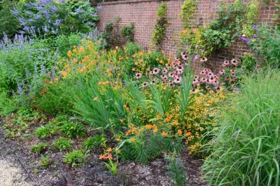 Roland Oehme Landscape Architecture - Garden Remodeling in Towson, MD