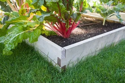 Ron Beining Associates LLC - Garden Remodeling in Saint Paul, MN