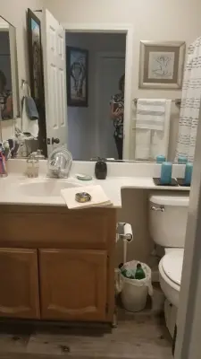 Compact Bathroom Renovation — Kitchen Remodeling project by DLM Designer/Remodeler Kitchen And Bath Plus