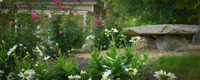 Roots & Rocks Landscape Artisans - Drip Irrigation System Installation in Groton, MA